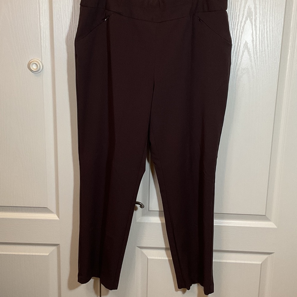 Investments Women's Dark Brown Dress Pants Size 16S